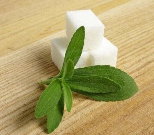 Stevia - sugar substitute